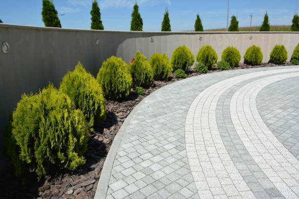 Best Best Driveway Pavers  in Wolcott, IN